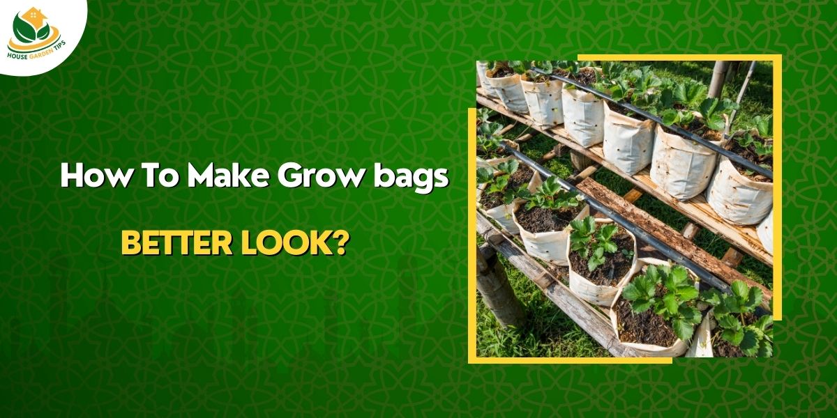 How to Make Grow Bags Better Look?