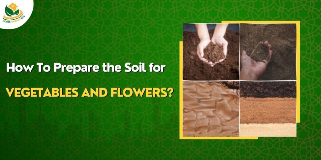 Best ways to prepare healthy soils