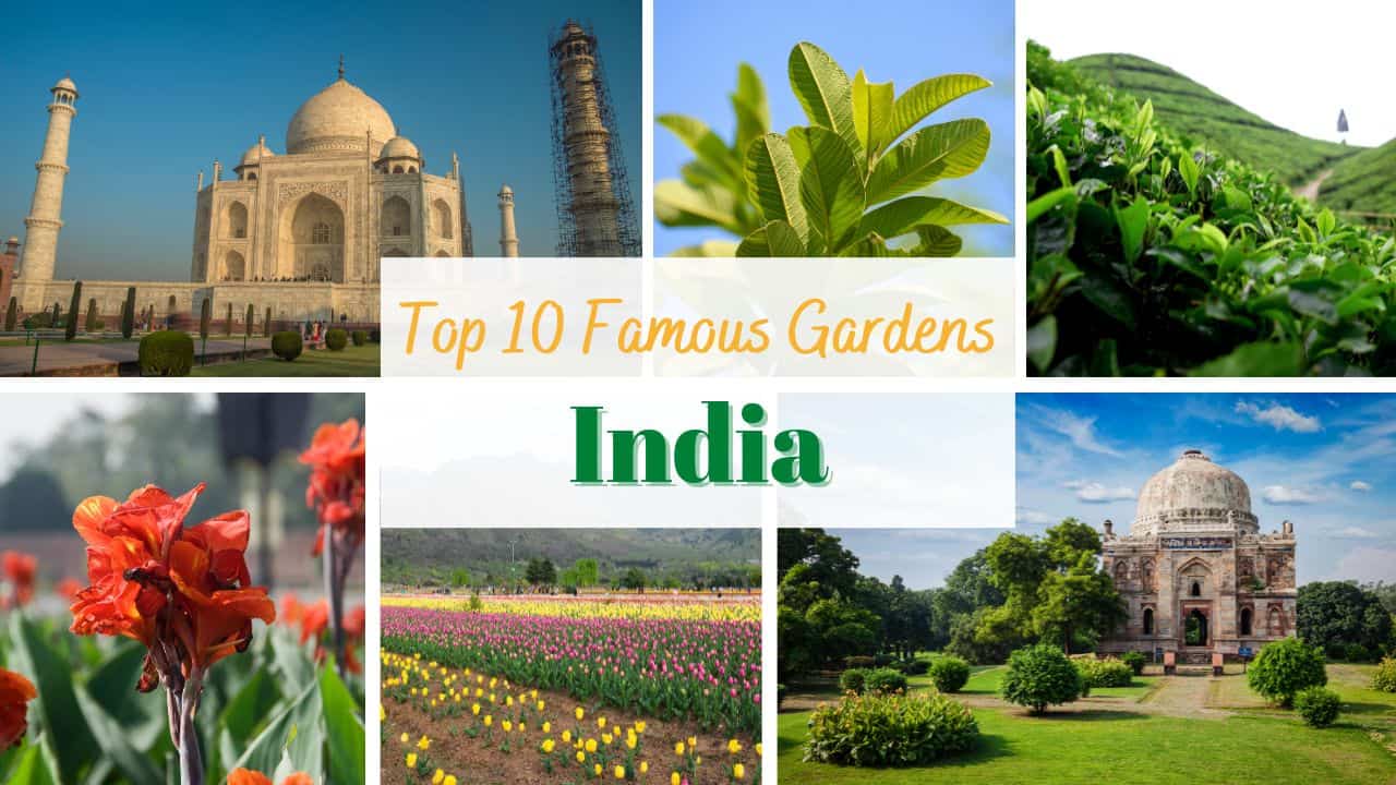 Top 10 Famous Gardens in India