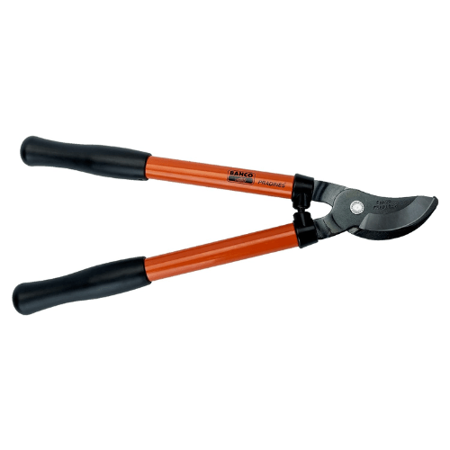 Professional Orchard and Landscape Tree Lopper for garden