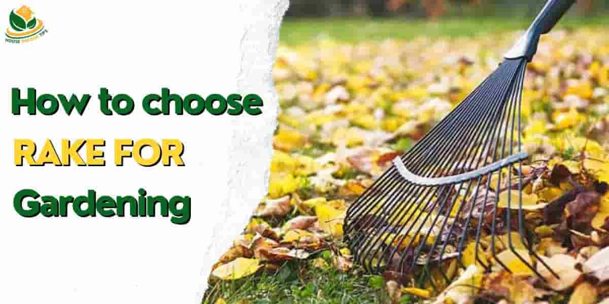 How to Choose the Right Rake for Your Garden?