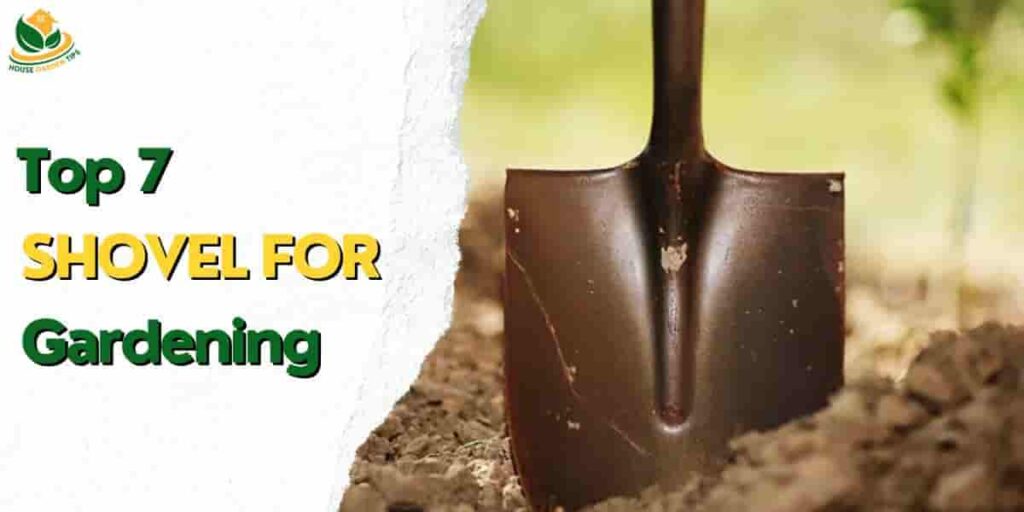 Shovel for Gardening